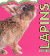 PETITS LAPINS
