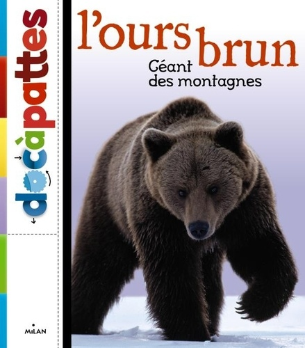 OURS BRUN (L') GEANT DES MONTAGNES