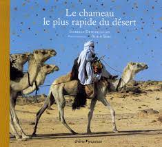 CHAMEAU LE PLUS RAPIDE DU DESERT