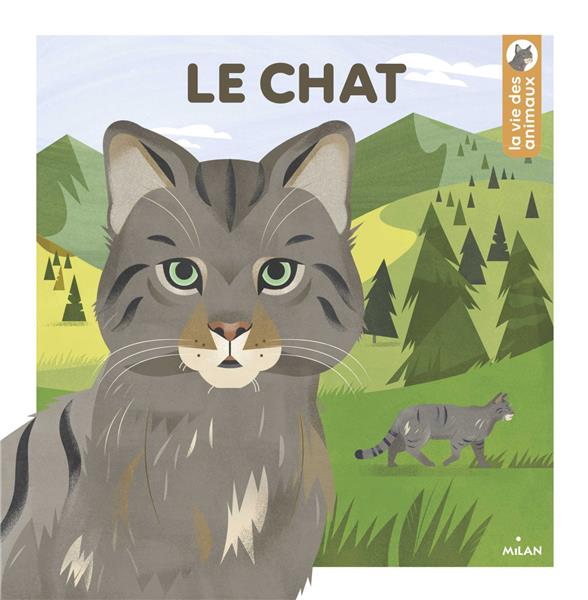 CHAT ( vie des animaux )
