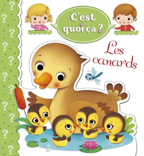 CANARDS C'EST QUOI CA