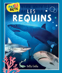 PAS SI BETE LES REQUINS
