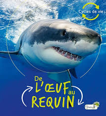 DE L OEUF AU REQUIN
