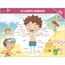 SOUS-MAIN - CORPS HUMAIN