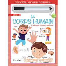 ARDOISE EFFAÇABLE SOUPLE - LE CORPS HUMAIN