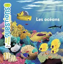 OCEANS - MES PTITES QUESTIONS