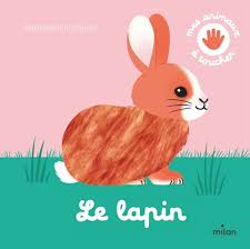 LAPIN - MES ANIMAUX A TOUCHER
