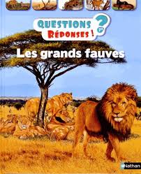 GRANDS FAUVES