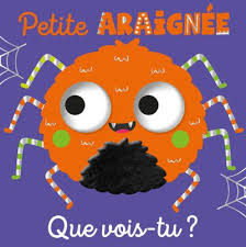 QUE VOIS TU PETITE ARAIGNEE ?
