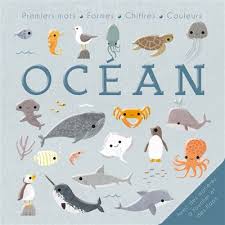 OCEAN - BEBE DECOUVRE