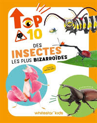 TOP 10 DES INSECTES LES PLUS BIZARROÏDES